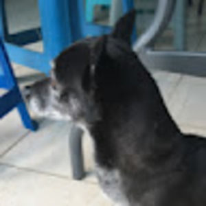 Meet your Posher, Omar